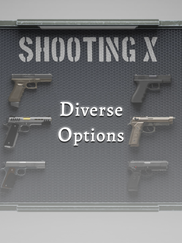 Diverse Options